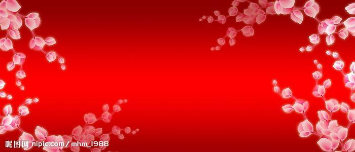 里尔天主教大学Diploma in Public Administration